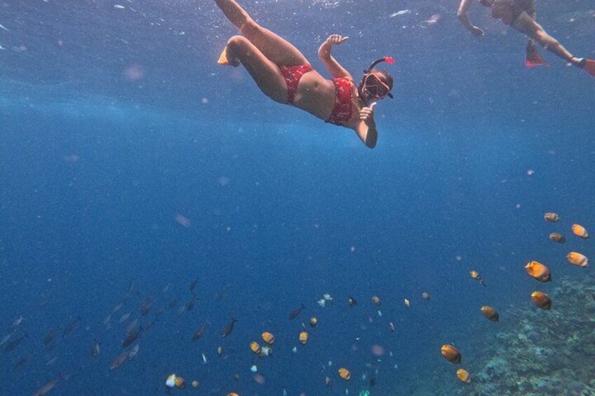 A person snorkeling underwater with fish. 3