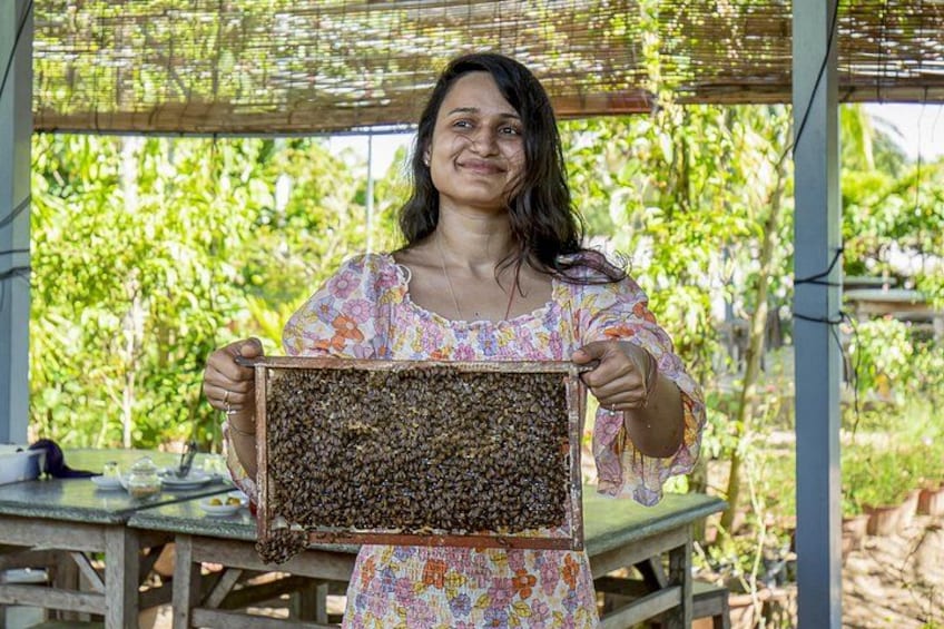 Honey-bee 3