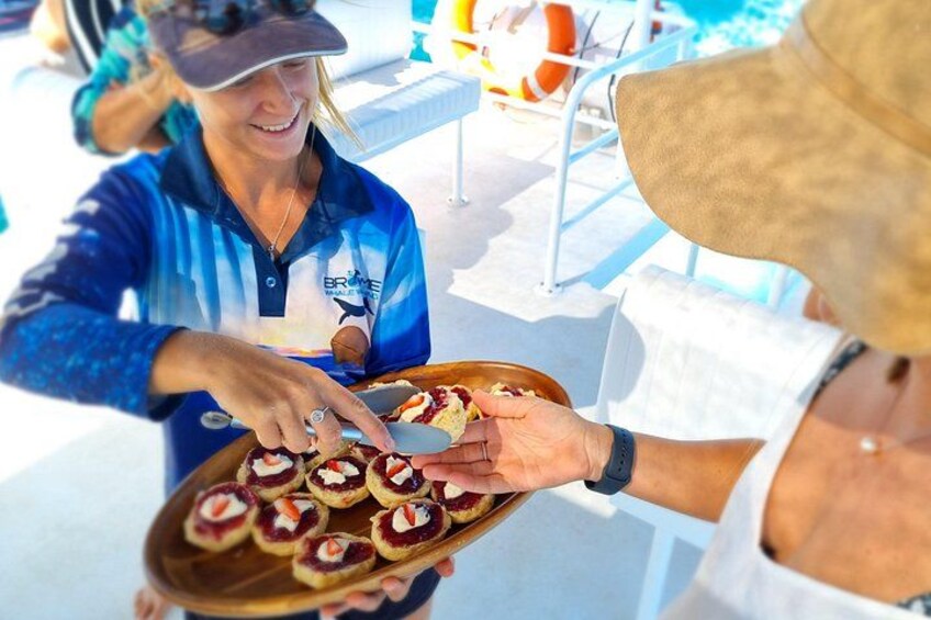 Snubfin Dolphin Eco Cruise from Broome 5