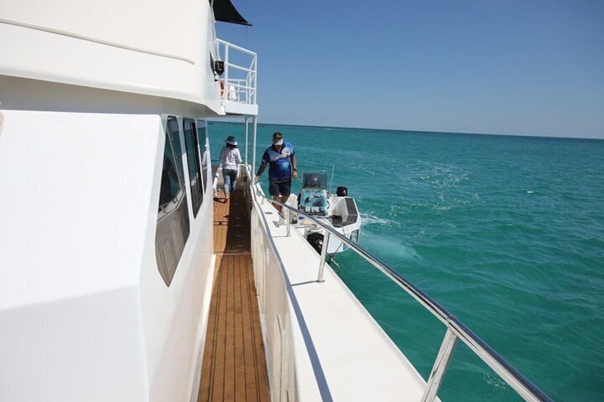 Snubfin Dolphin Eco Cruise from Broome 5