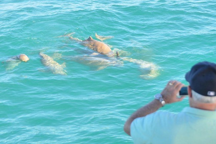 Snubfin Dolphin Eco Cruise from Broome 3