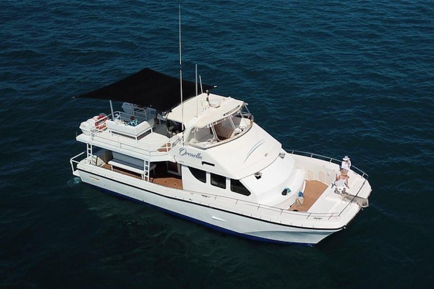 Snubfin Dolphin Eco Cruise from Broome 2
