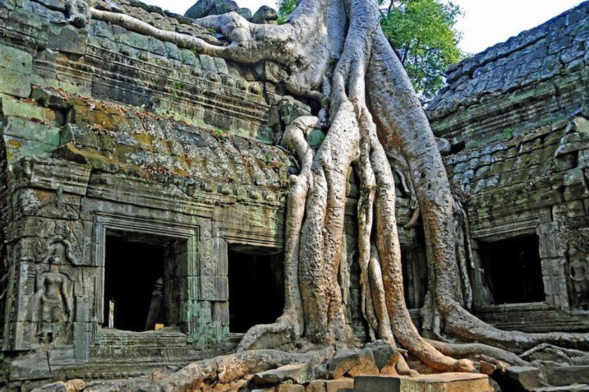 An ancient temple with large tree roots intertwined with the stone structure. 3