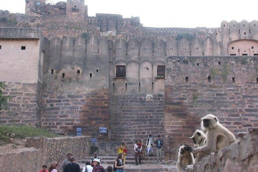 A historic fort with stone walls and battlements, a group of people standing in front, and a monkey in the foreground. 4