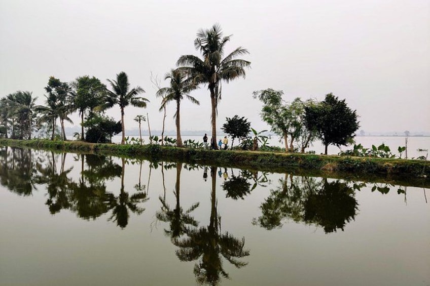 reflections in the walk 3