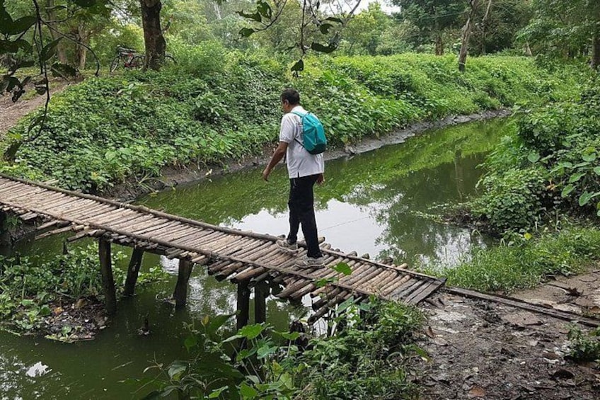 crossing a bamboo bridge 1