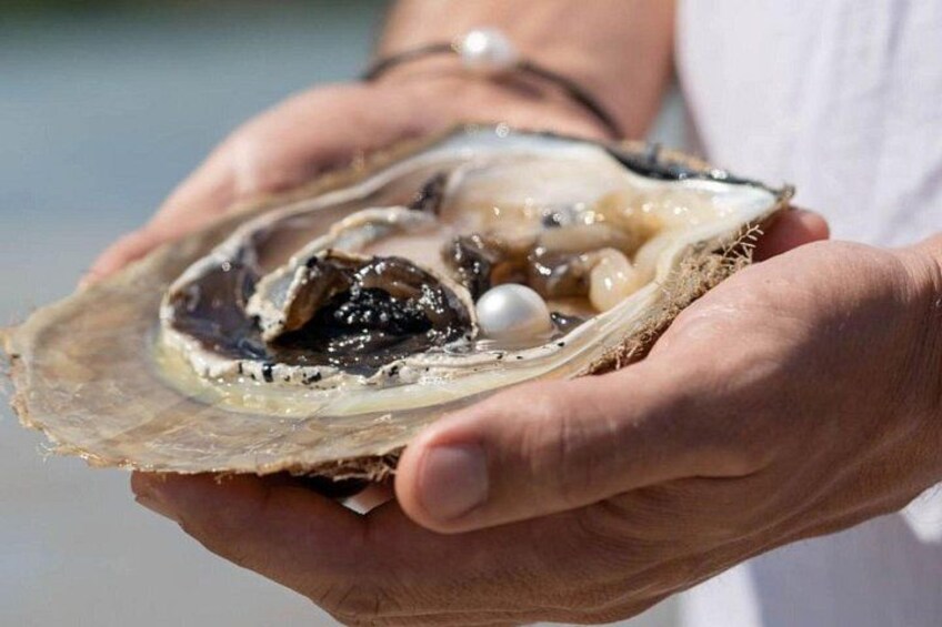 Broome Town Tour: Discover Broome, Beaches & History 3