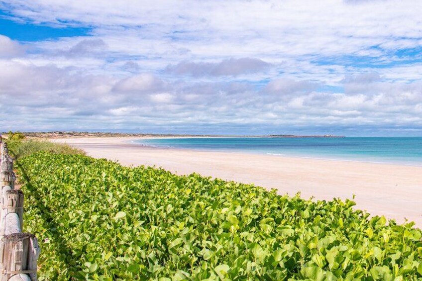 A beach with a green hedge and a clear sky. 3