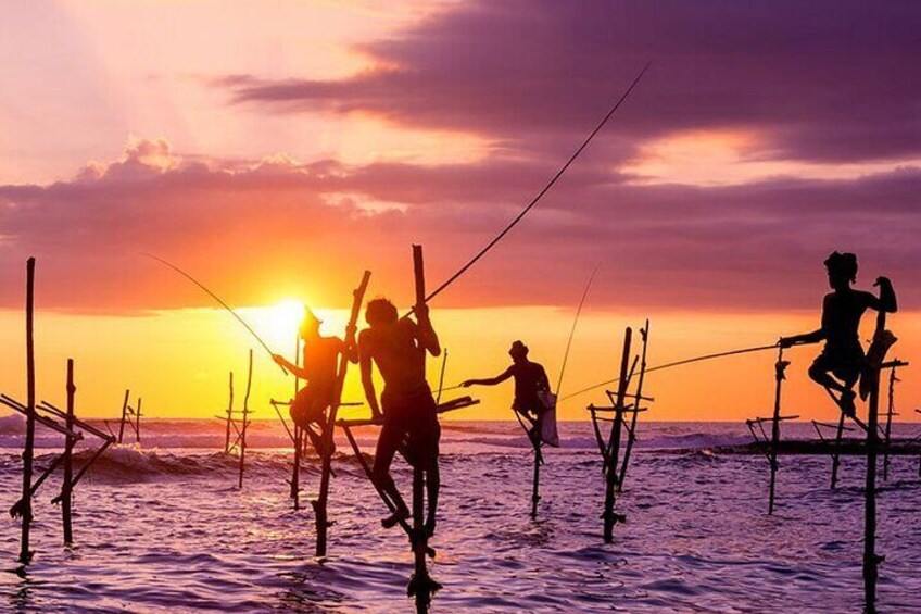 Weligama Stilt Fishermen 2