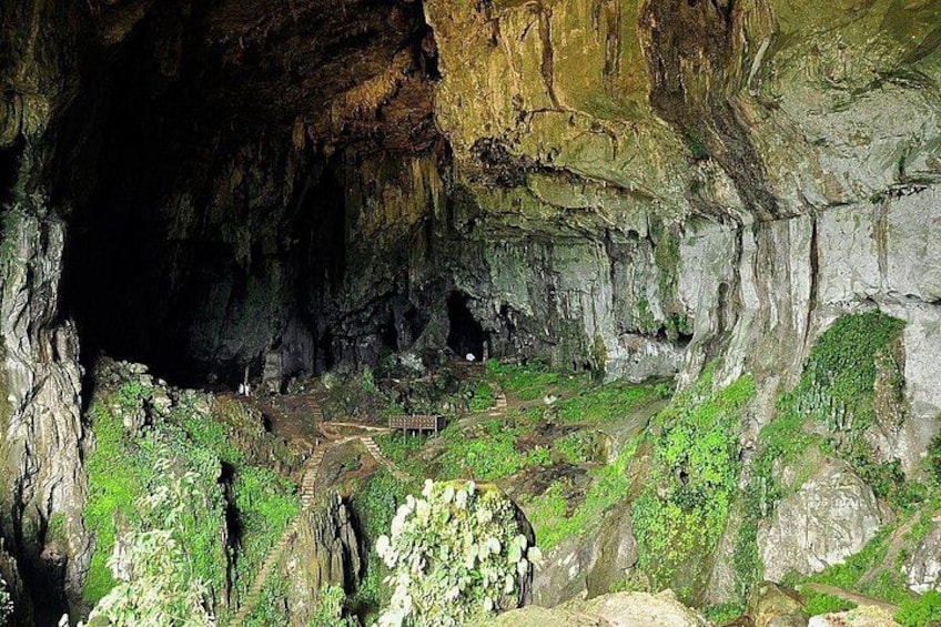 A cave with green vegetation and a wooden structure inside. 3