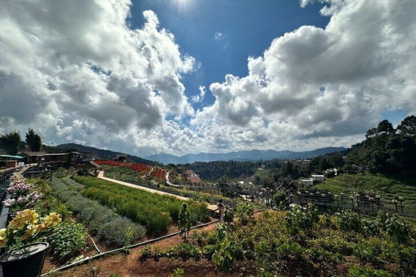 Ultimate Chiang Mai Outskirts Highlights – Private One-Day Tour 3