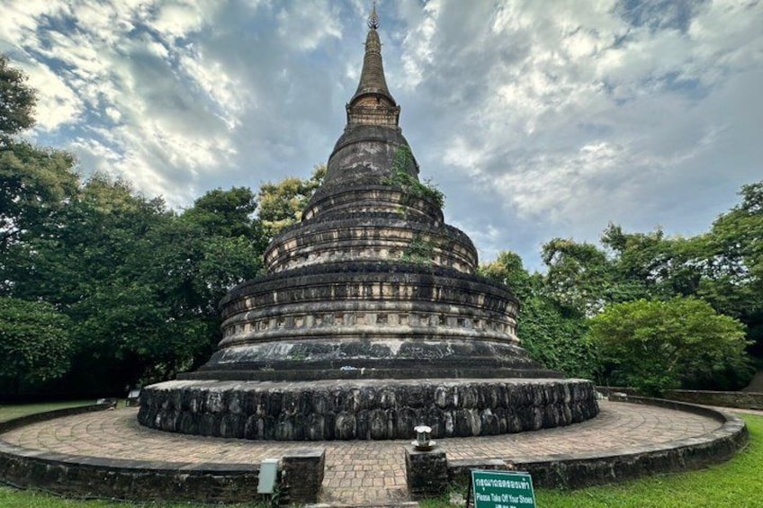 Chiang Mai: Best Seller! Doi Suthep & Wat Umong Night Tour 3