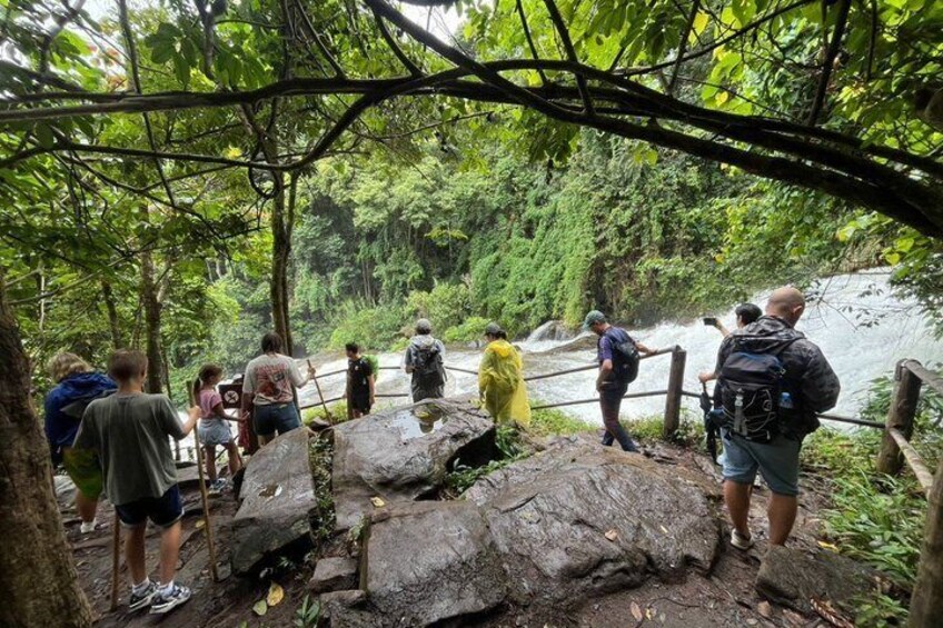 Chiang Mai: Doi inthanon National Park + 2Hr Fantastic Trekking 5