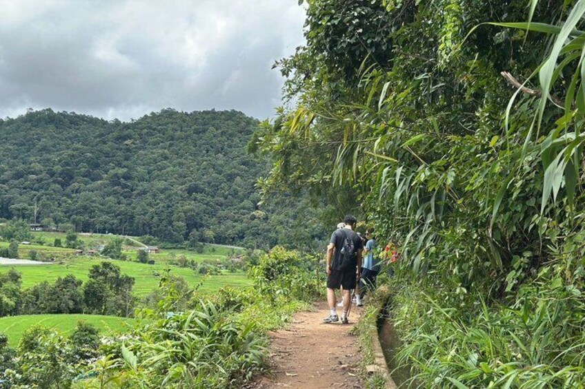 Doi inthanon National Park + 2Hour Fantastic Trekking with Lunch 2