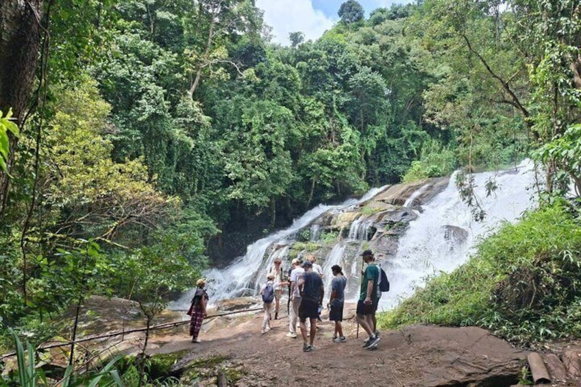 Chiang Mai: Doi inthanon National Park + 2Hr Fantastic Trekking 2