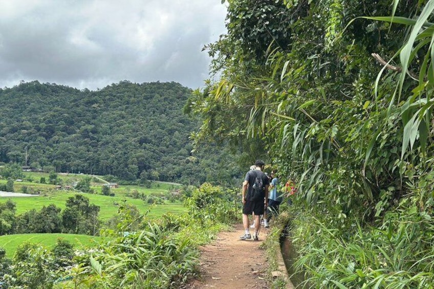 Fantastic! Famous Doi Inthanon National Park Tour & 2hr Trekking 2