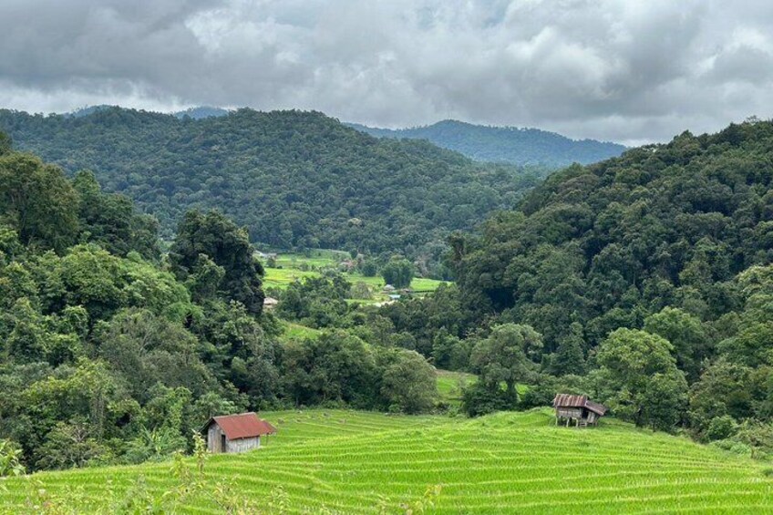 Chiang Mai: Fantastic Doi Inthanon National Park Tour & 2-Hr Trek 5