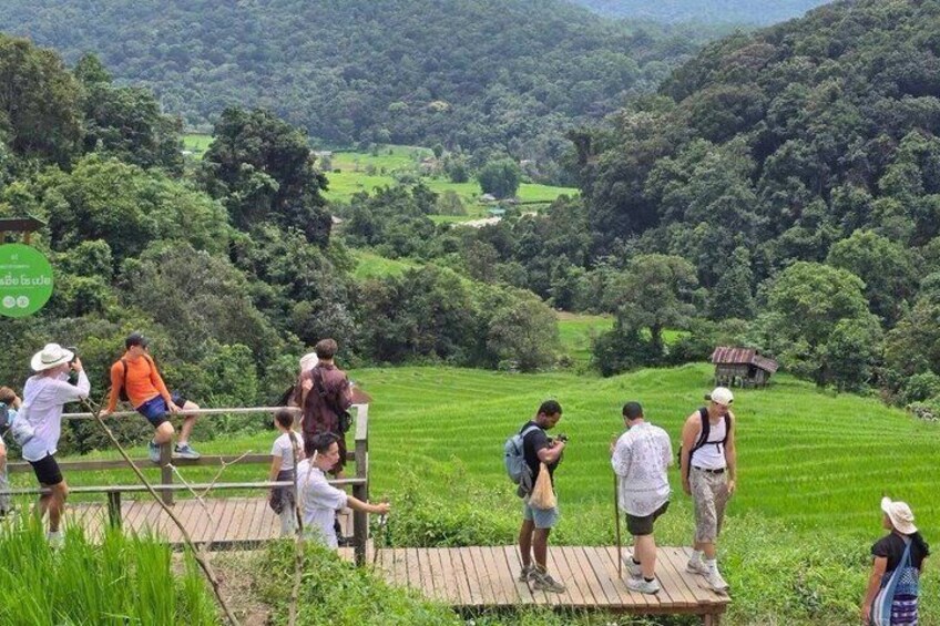 Chiang Mai: Fantastic Doi Inthanon National Park Tour & 2-Hr Trek 4