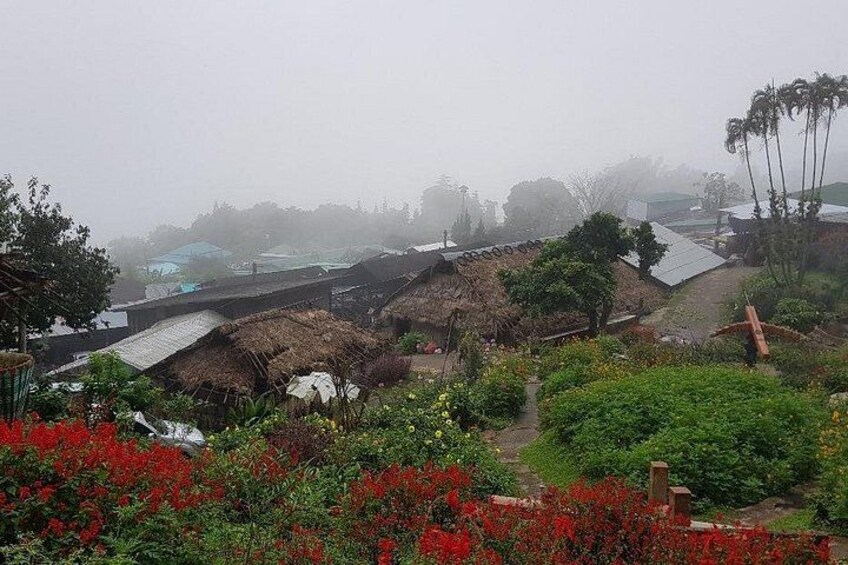 Chiang Mai: DON'T miss It ! Doi suthep temple+ Hmong village 3