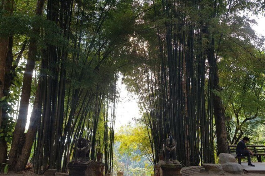 Chiang Mai: Morning Alms, Doi Suthep, Mon Jam, Long Neck & More 5