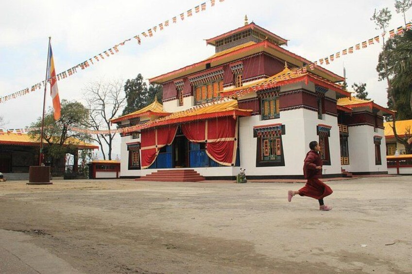 Eastern Himalaya (Darjeeling, Pelling, Gangtok & Kalimpong) 3