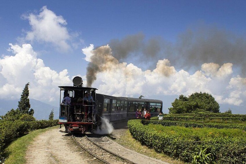 Eastern Himalaya (Darjeeling, Pelling, Gangtok & Kalimpong) 1