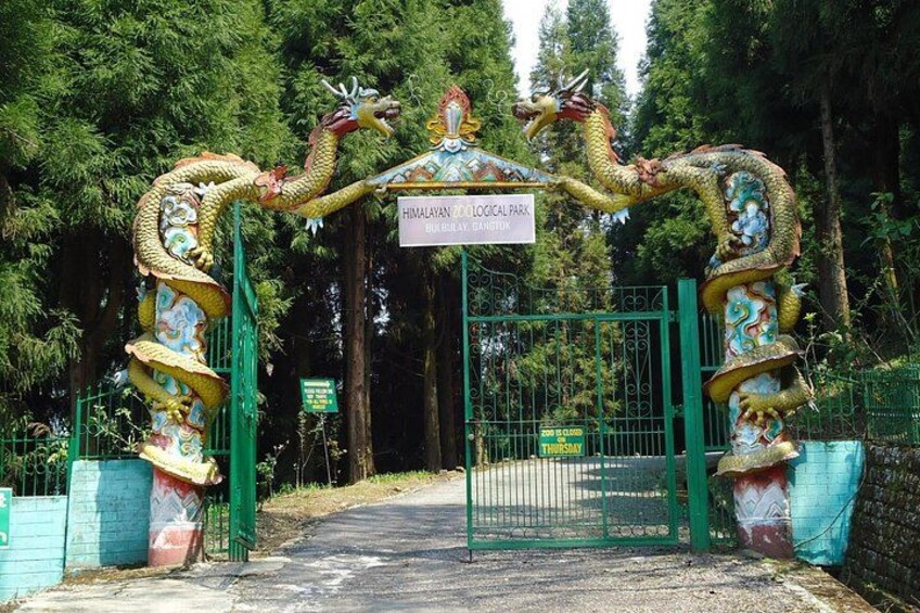 Eastern Himalaya (Darjeeling, Pelling, Gangtok & Kalimpong) 4