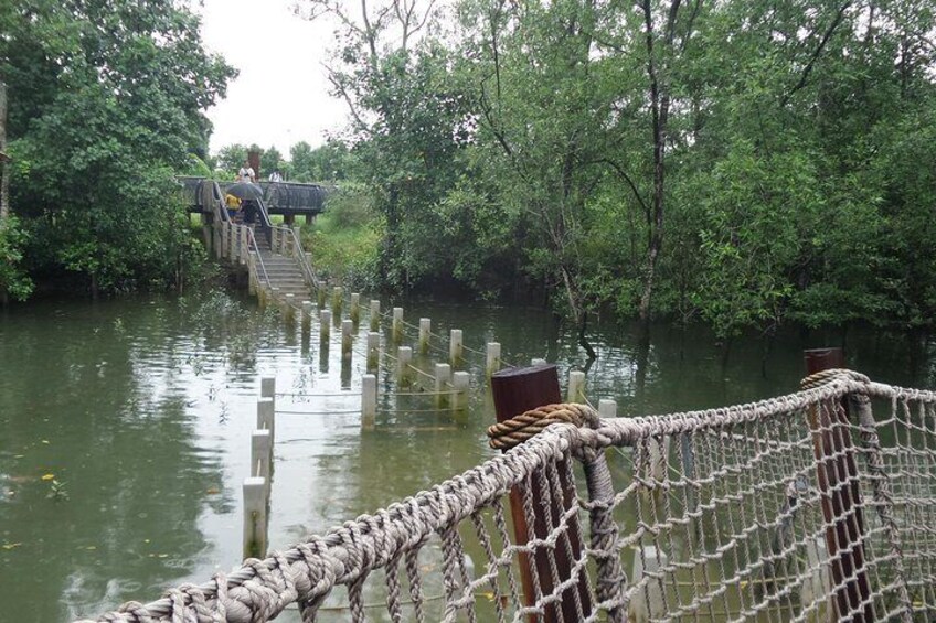 A rope bridge over a river surrounded by dense greenery. 5