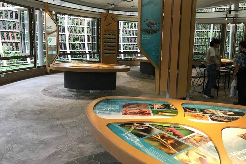 Gallery at Wetland Centre 4