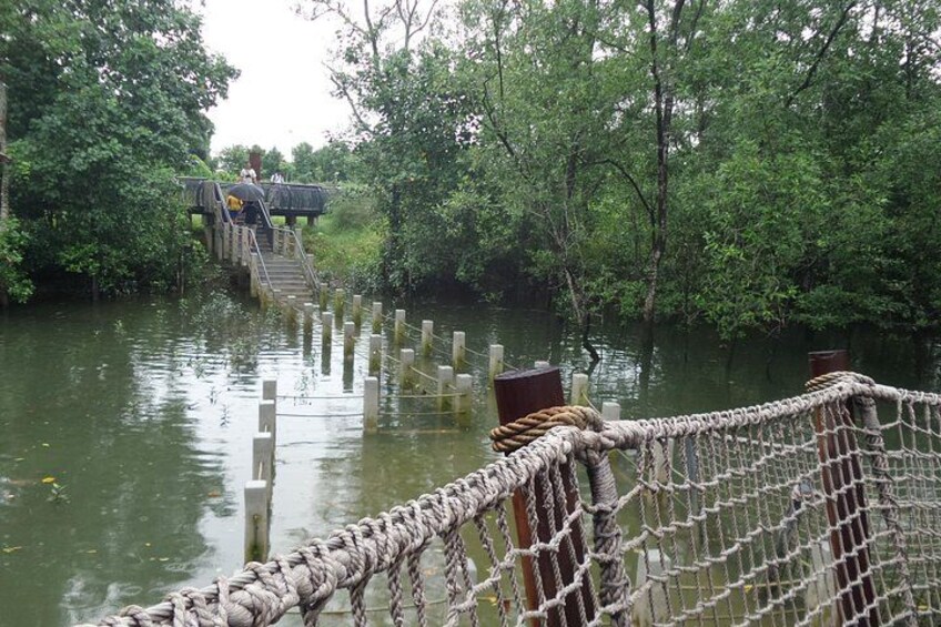 Suspension bridges are common in the new extension of Sungei Buloh Wetland Reserve 5