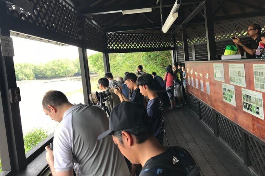 People standing at a viewing platform overlooking a body of water. 2