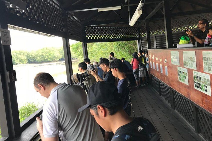Watching migratory birds at the main hide 3