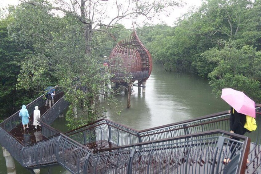 A wooden bridge over water surrounded by dense greenery. 1