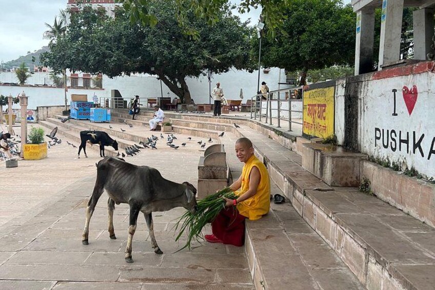 Spiritual City Walking Tour-THE Pushkar Route 4