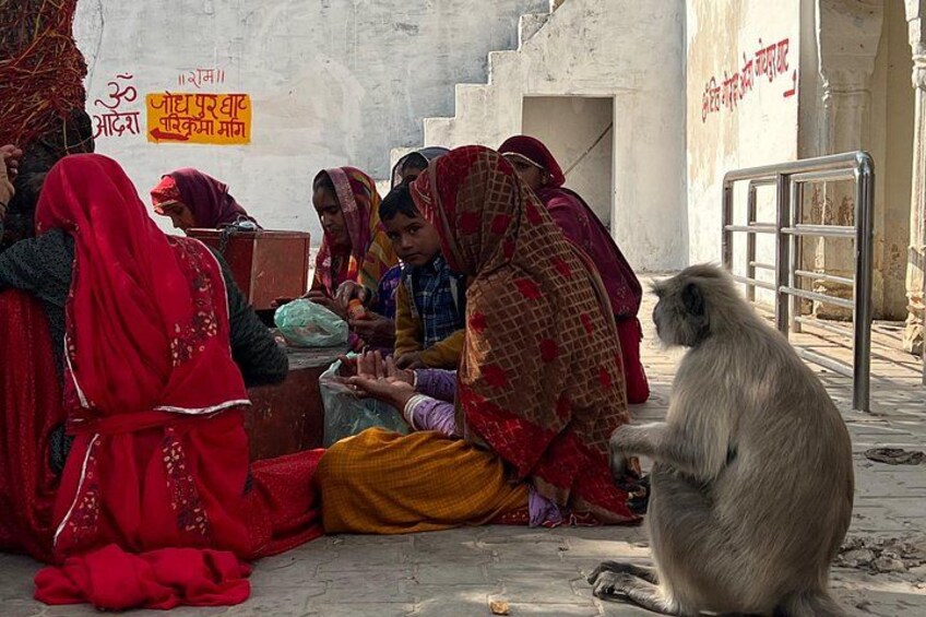 Spiritual City Walking Tour-THE Pushkar Route 2