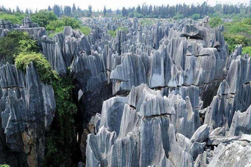 A landscape of tall, jagged rock formations with greenery at the base. 1