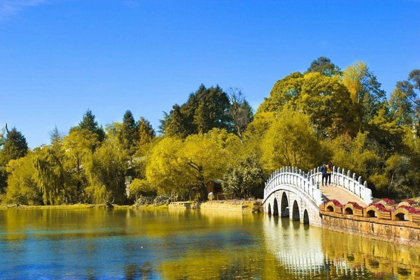 Un ponte bianco che sovrasta un lago calmo, circondato da alberi e un cielo azzurro limpido. 3