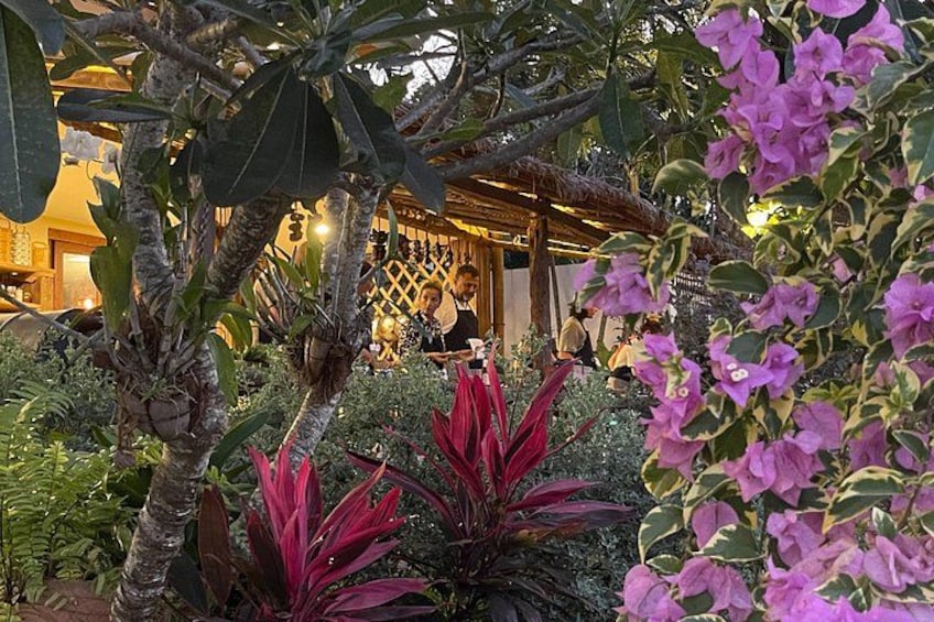 A garden with various plants and a building in the background. 3