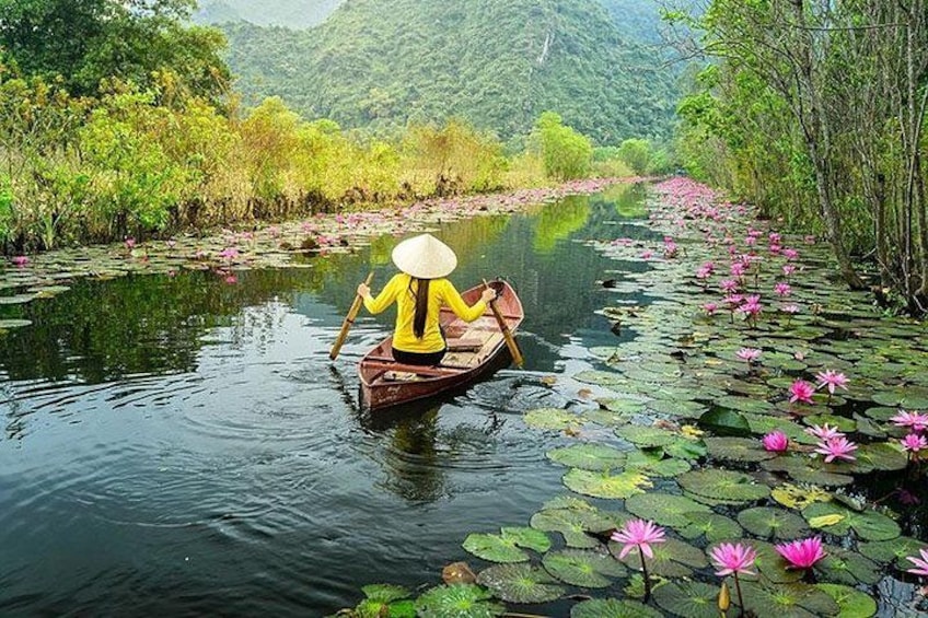 A person in a boat on a river surrounded by lotus flowers and greenery. 4