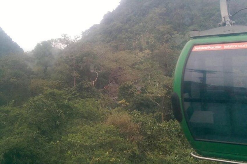 A green cable car amidst dense forest. 2