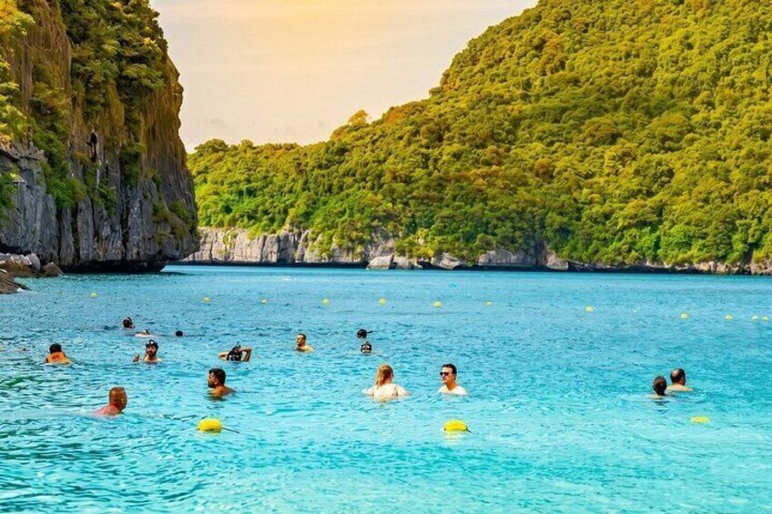 A group of people swimming in a clear blue sea with lush green hills in the background. 5