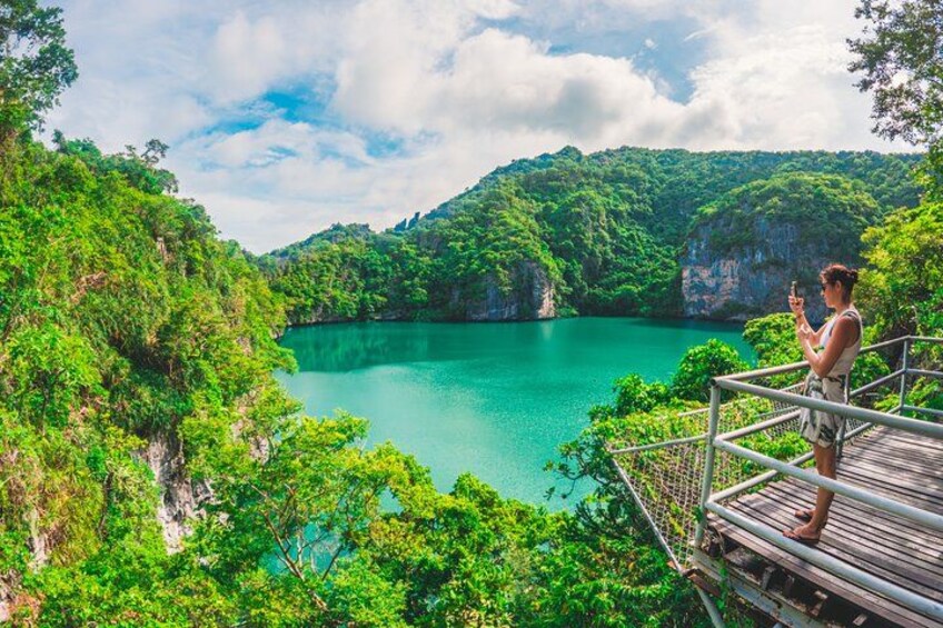 A person standing on a wooden platform overlooking a turquoise lake surrounded by lush greenery and cliffs. 5