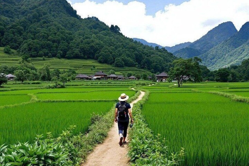 Hanoi: Ninh Binh Hoa Lu/Bai Dinh, Trang An/Tam Coc, Mua Cave Tour 3