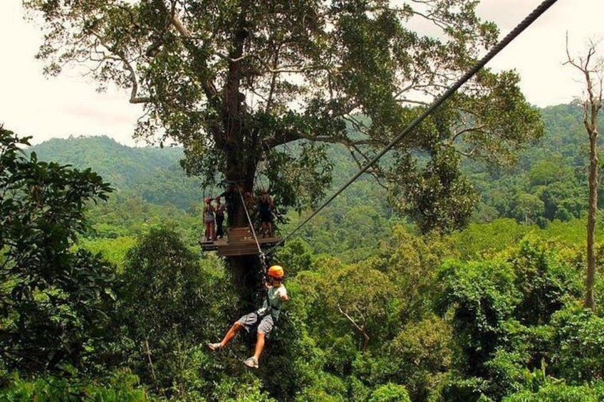 A person zip-lining through a forest, a wooden platform, and dense green foliage. 4