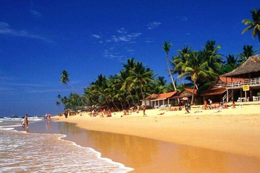 Una playa con palmeras, una orilla arenosa y algunas personas caminando. 4