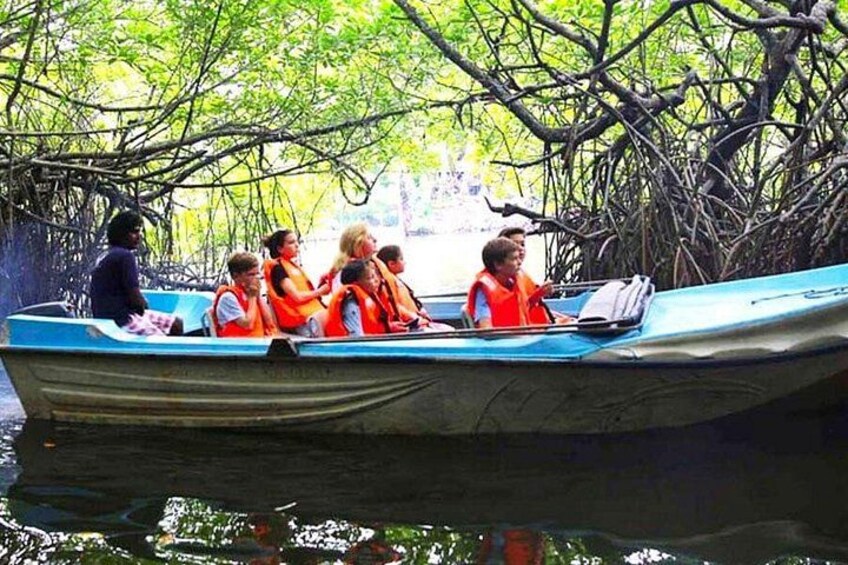 Una embarcación con personas que llevan chalecos salvavidas en una vía fluvial bordeada de manglares. 3