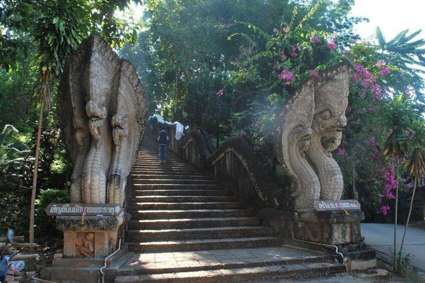 A staircase with stone carvings, surrounded by lush greenery and flowering plants. 5