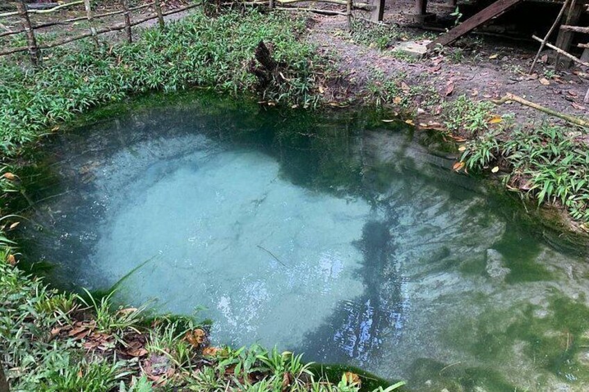 A circular pond surrounded by grass and vegetation. 4