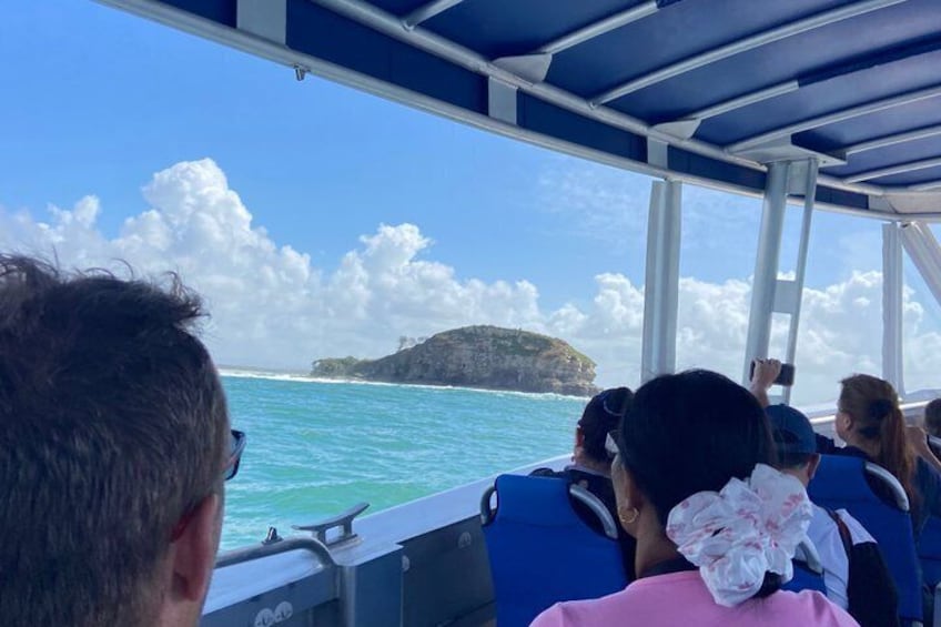 Adventure Rafting - Mooloolaba Turtle Tour 2