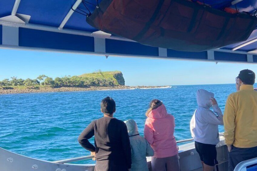 Adventure Rafting - Mooloolaba Turtle Tour 5